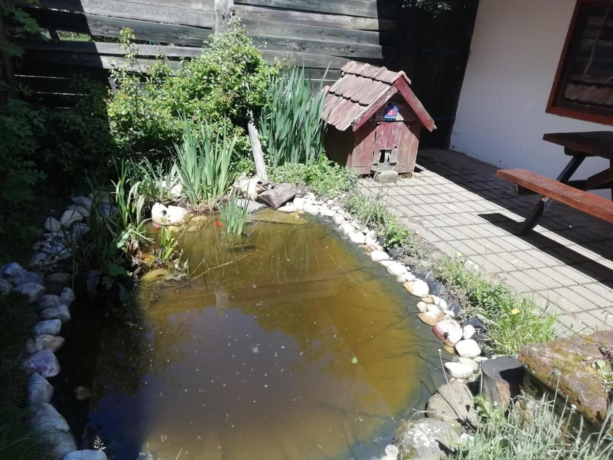 佛克法思扎可凡德哈兹奥瑞思增特皮特酒店 Őriszentpéter 外观 照片